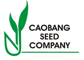 CAOBANG SEED