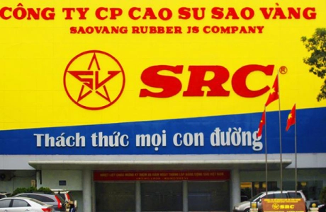 Cao su Sao Vàng (SRC) Thái Bình