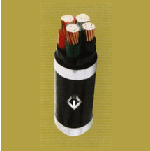 Cáp bọc cách điện vỏ PVC