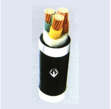 Cáp bọc cách điện XLPE vỏ PVC