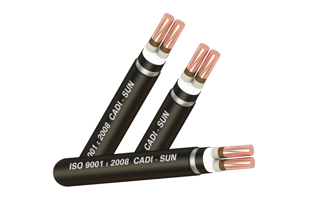 Cáp chống cháy FRL - DSTA2X