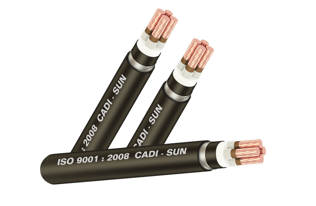 Cáp chống cháy FRL - DSTA