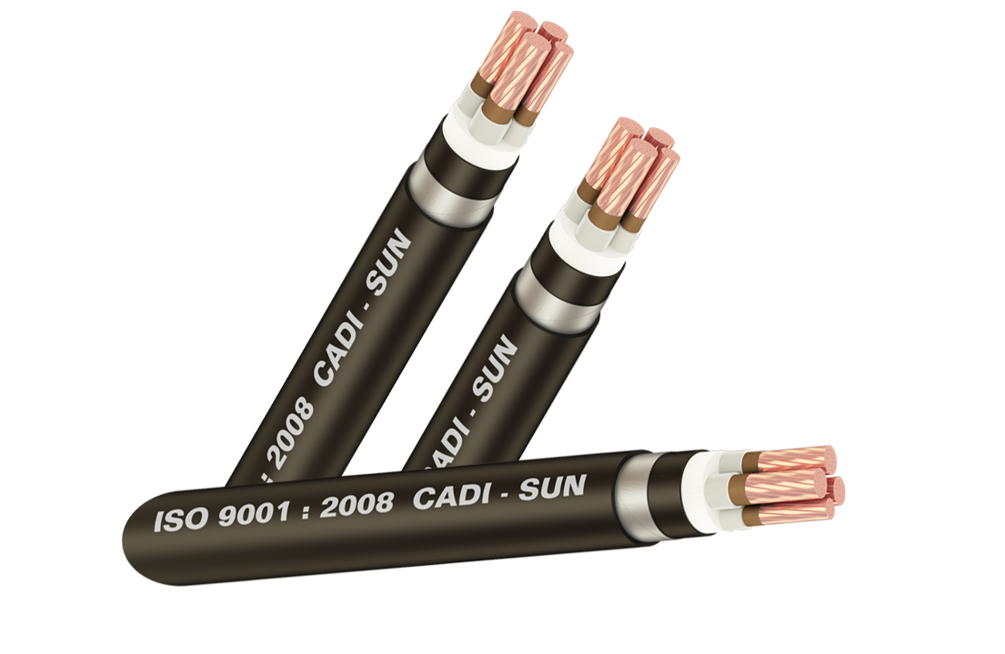 Cáp chống cháy FRL - DSTA