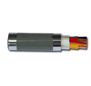 Cáp điện 2 lõi cách điện PVC