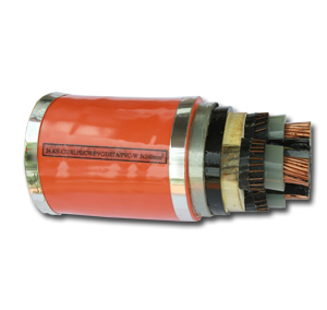Cáp điện trung thế 24kv