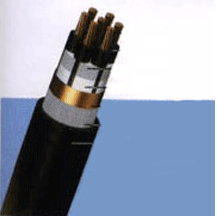 Cáp điều khiển bọc cách điện vỏ PVC