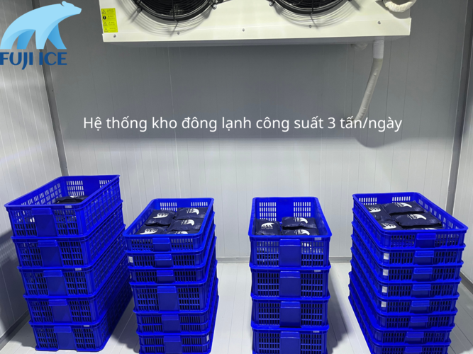 Cấp đông đá gel