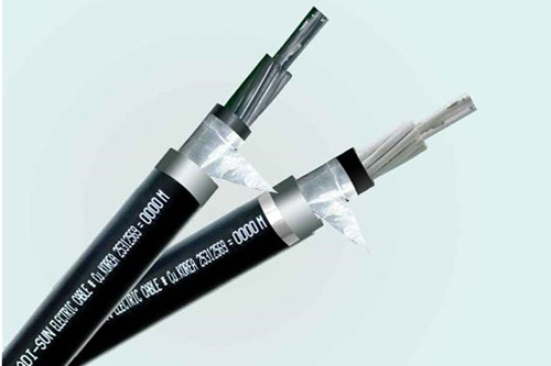 Cáp trần đồng C