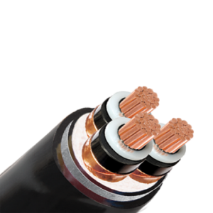 Cáp ngầm trung thế CU/XLPE
