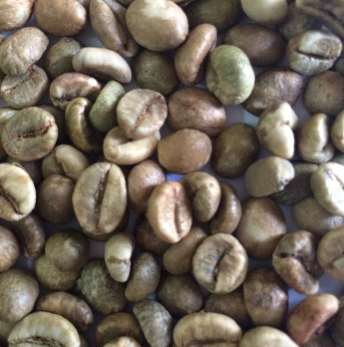 Hương cà phê