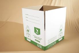 Carton in