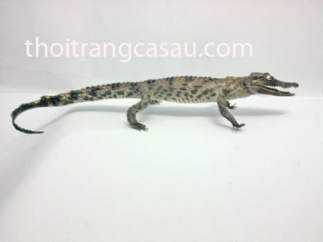 Cá sấu nhồi bông