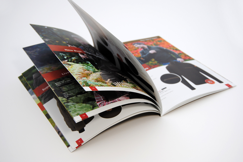 Catalogue