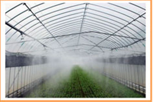 Xử lý nước bằng Ozone
