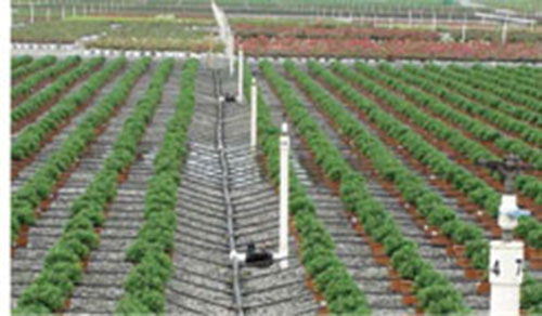 Xử lý nước bằng Ozone