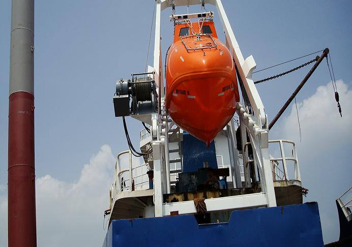 Cẩu phóng