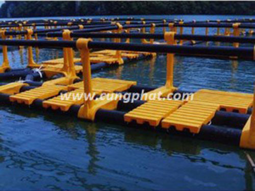 Cầu phao HDPE & Composte FRP