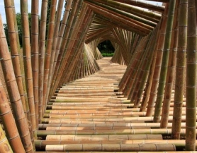 Cầu tre