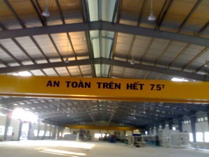 Cầu trục dầm đôi