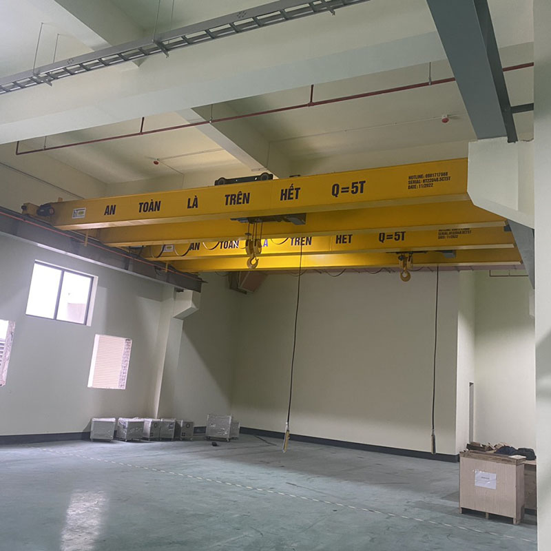 Cầu trục trần thấp