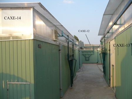 Lò sấy Caxe