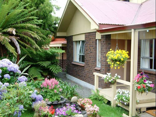 Cây sân vườn