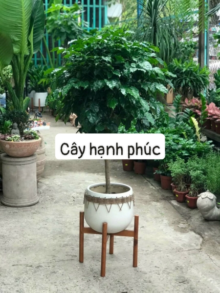 产品与服务