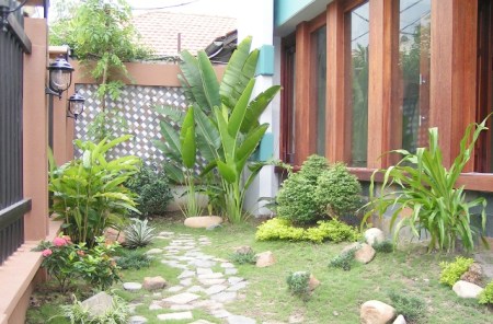 Cây xanh sân vườn