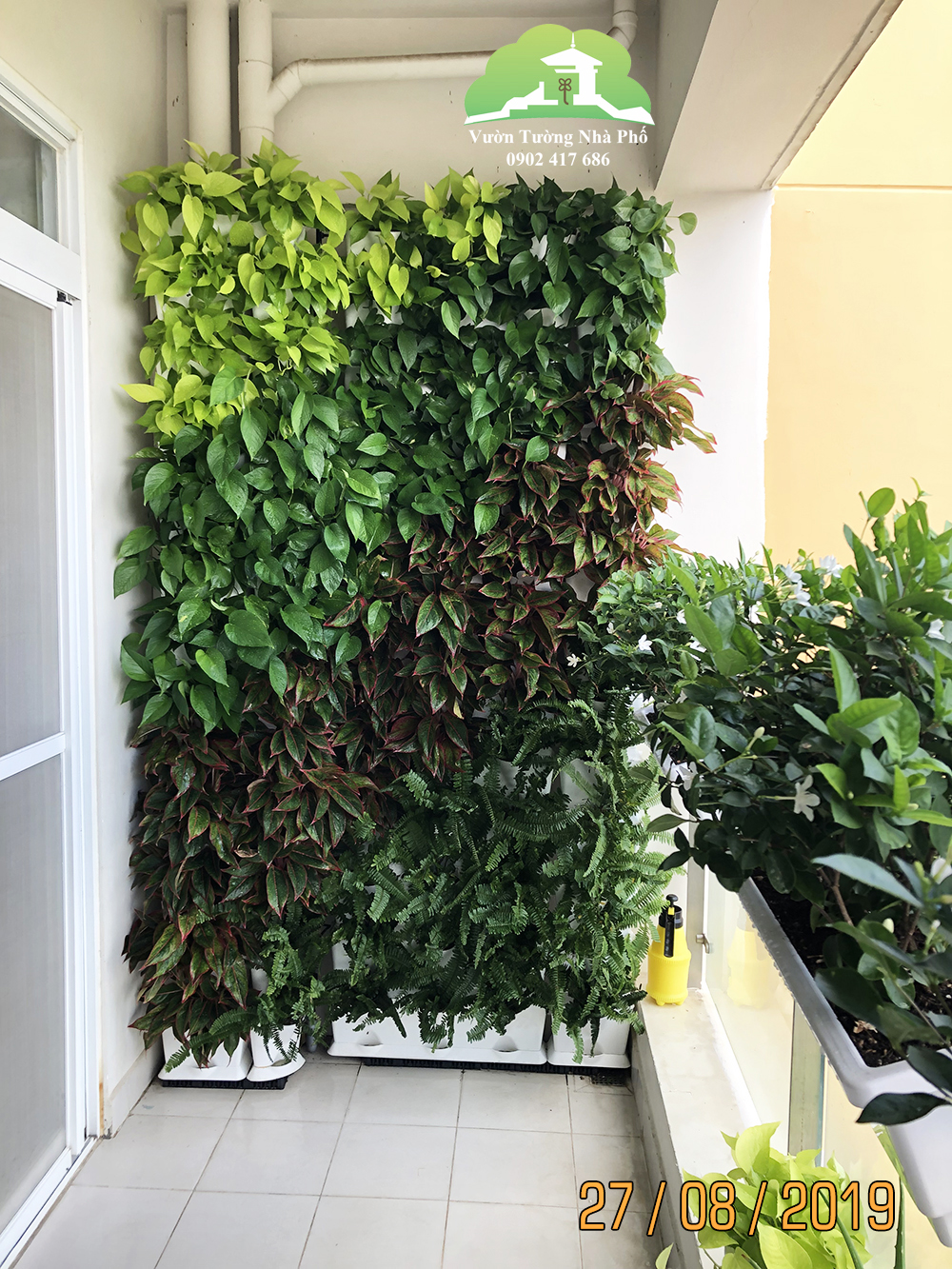 Cây ban công chung cư Minigarden