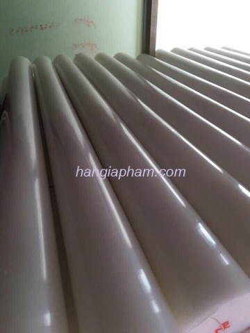 Cây nhựa trụ trong PE