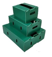 Dịch vụ cho thuê xe ô tô