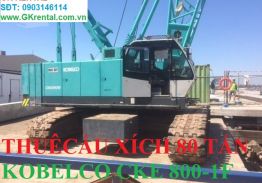 Xe cần cẩu xích 80 tấn