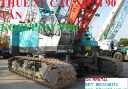 Xe cần cẩu xích 80 tấn