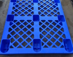 Pallet nhựa