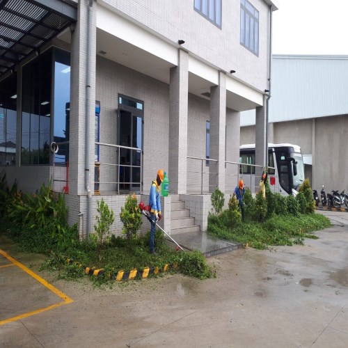 Chăm sóc, duy trì cảnh quan