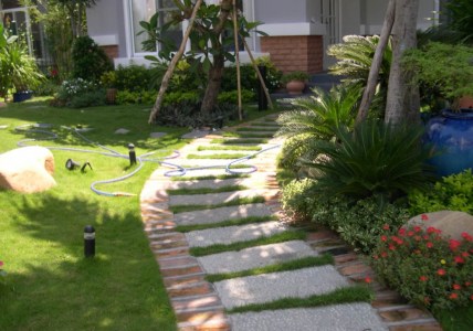 Chăm sóc tiểu cảnh sân vườn
