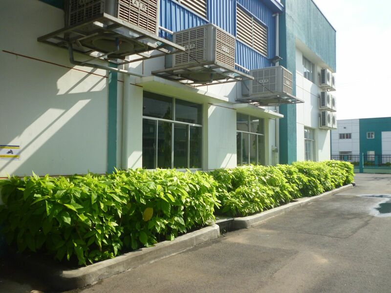 Chăm sóc, bảo dưỡng, bảo trì cây xanh