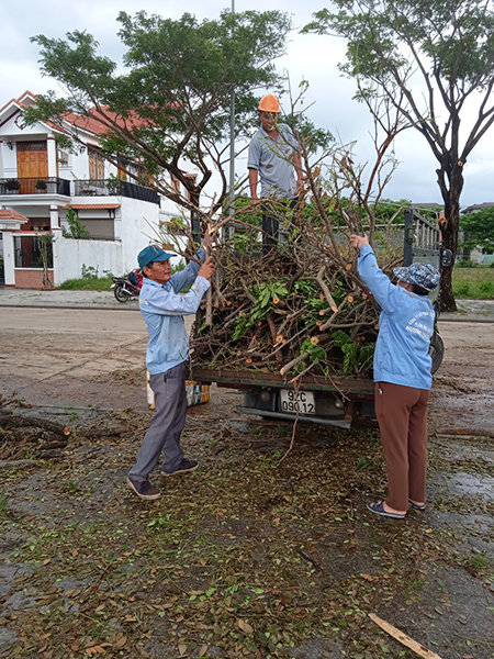 Chăm sóc và cắt tỉa cây xanh