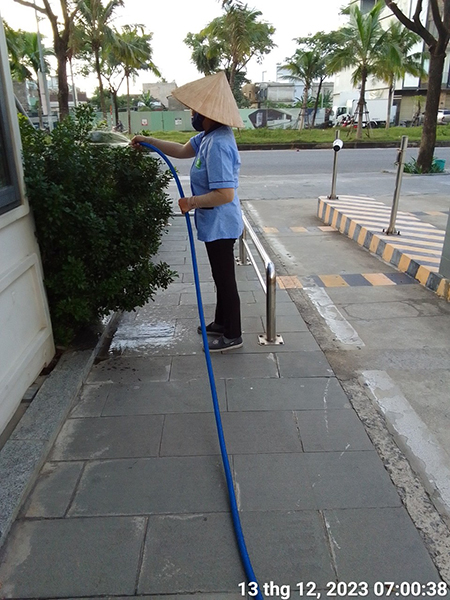 Chăm sóc và cắt tỉa cây xanh