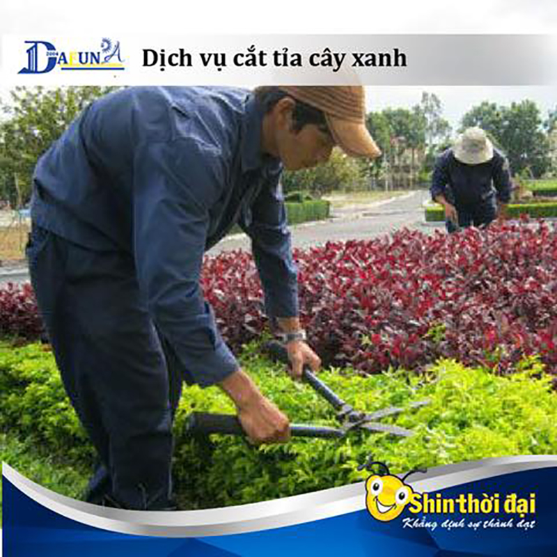 Dịch vụ chăm sóc cây cảnh khuôn viên nhà máy