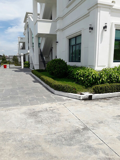 Dịch vụ chăm sóc, bảo dưỡng cây xanh