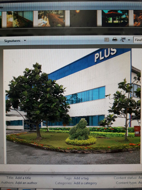 Dịch vụ chăm sóc, bảo dưỡng cây xanh