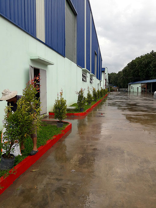 Dịch vụ chăm sóc, bảo dưỡng cây xanh