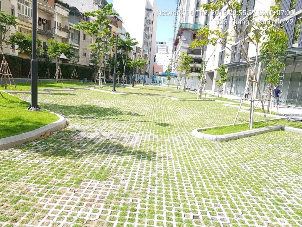 Chăm sóc cảnh quan