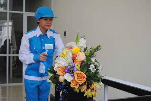 Chăm sóc hoa, cây cảnh