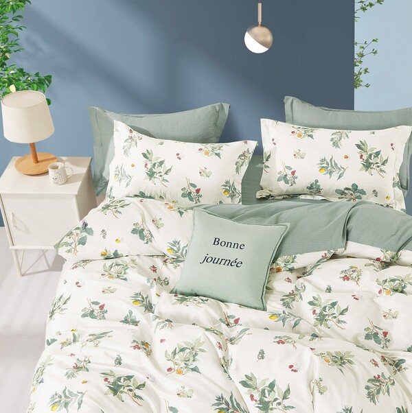 Chăn ga gối cotton nhung