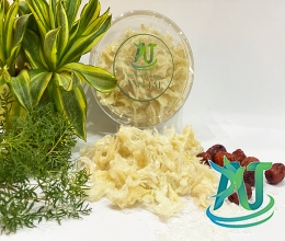 Chân yến rút lông