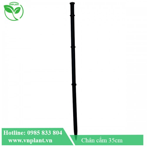 Chân cắm béc