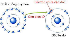 Chất chống oxy hóa