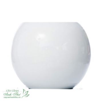 Chậu Composite tròn